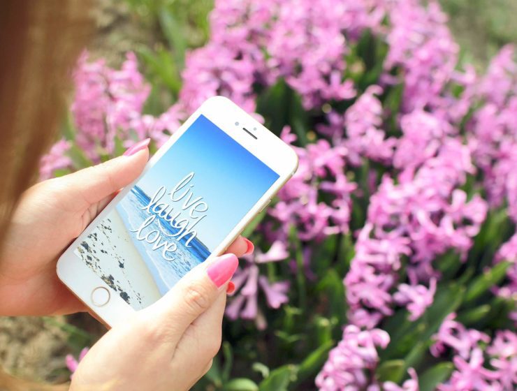 Voici un fond d'écran à télécharger gratuitement
