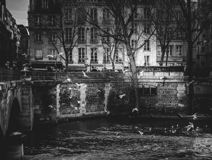 photo de pont de Paris